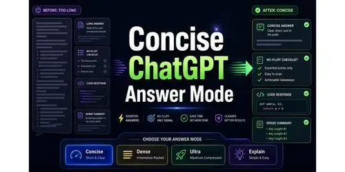 Example output for Concise Answer Mode